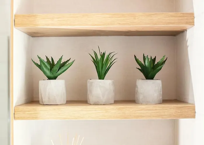 Amber, - Center Kranjska Gora